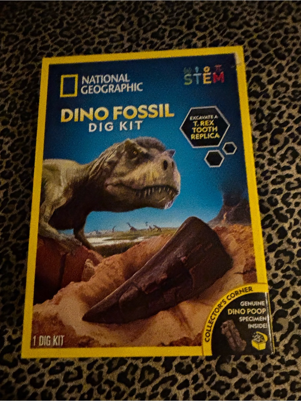 National Geographic Dino Fossil Dig Kit - Blue, Yellow, Brown